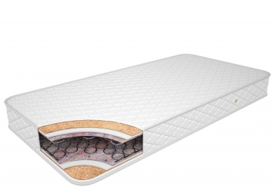 ������ "�����-�����"